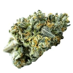 Blue Zushi Auto from TerpFarmz Seeds