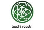 Bodhi Seeds