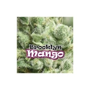 Brooklyn Mango