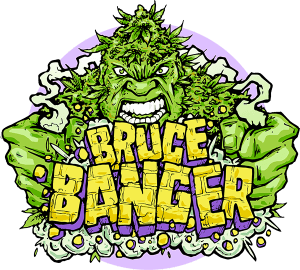 Bruce Banger