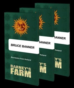 Bruce Banner