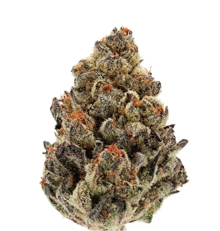 Bruce Banner Autoflower cannabis seeds – Euphoric – Auto-Flowering – Super Strength – image 1 from Seed City