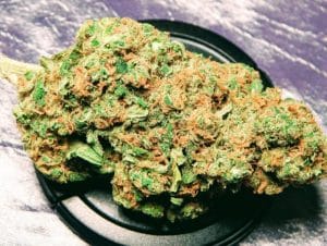 Bruce Banner #3