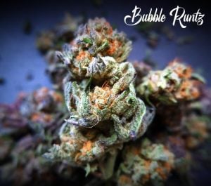Bubble Runtz