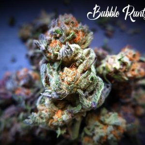 Bubble Runtz by TasteBudz Seeds – Super Strength – Indica Dominant – Outdoor cultivation – image 1 – Seed City