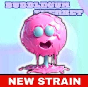 Bubblegum Sherbet