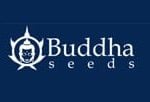 Buddha Seeds