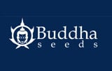 Buddha Seeds