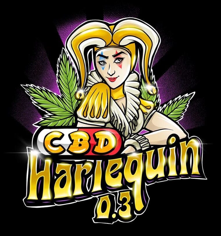 12/12 Photoperiod – Indoor-friendly – Relaxing – CBD Harlequin 0.3/18% strain – image 1 – from Sumo Seeds via Seed City