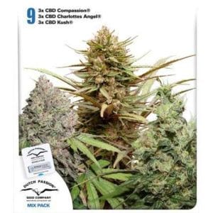 CBD Rich Feminised Mix
