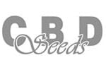 CBD Seeds