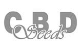 CBD Seeds