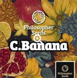 CBanana