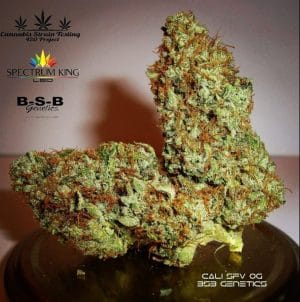Cali SFV OG