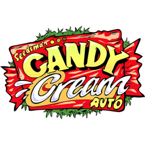 Candy Cream Auto