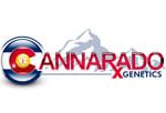 Cannarado Genetics