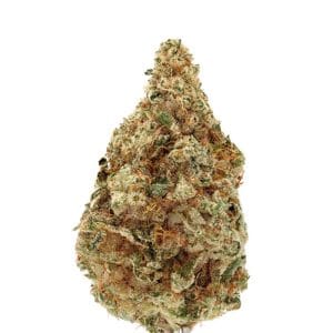 Charlotte's Dream CBD Auto cannabis seeds – Fruity – Middle of October – Sativa Dominant – image 1 from Seed City