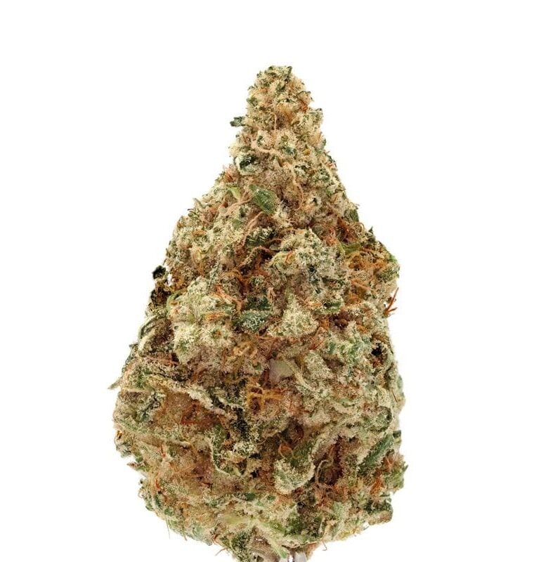 Charlotte's Dream CBD Auto cannabis seeds – Fruity – Middle of October – Sativa Dominant – image 1 from Seed City
