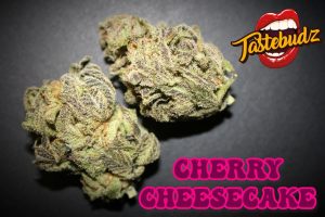 Cherry Cheesecake Auto