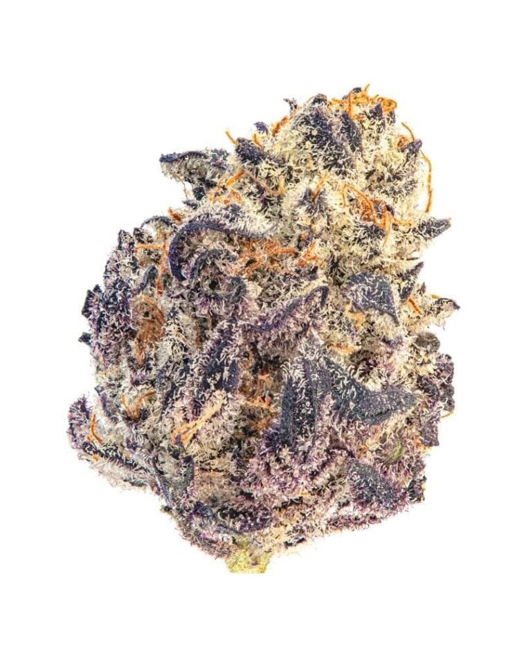 Cherry Mac Muffin cannabis seeds – Beginning of October – Feminized – Mostly Indica – image 1 from Seed City