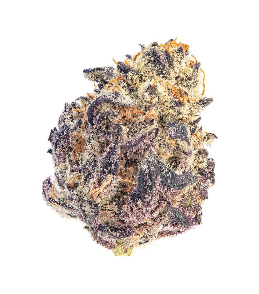 Cherry Mac Muffin cannabis seeds – Beginning of October – Feminized – Mostly Indica – image 1 from Seed City