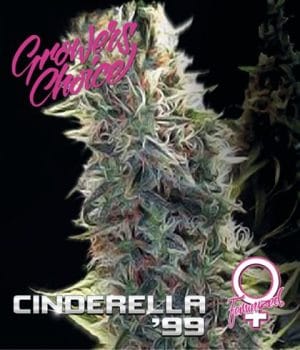 Cinderella 99