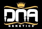 DNA Genetics Seeds logo