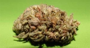Dark Cookie