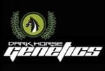 Dark Horse Genetics