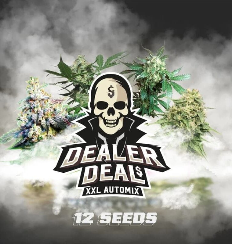 Dealer Deal XXL Automix by BSF Seeds – Large yield – Auto-Flowering – Relaxing – image 1 – Seed City