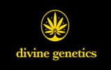 Divine Genetics Logo