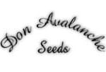 Don Avalanche Seeds logo