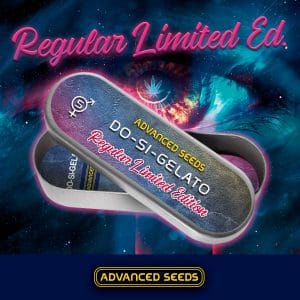 Dos-Si-Gelato