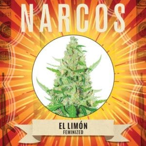 El Limon