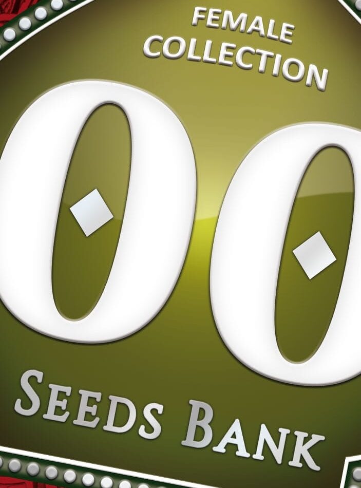 Feminized – Sweet – 12/12 Photoperiod – Female Collection 5 strain – image 1 – from OO Seeds via Seed City