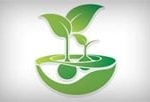 Feminised Seeds Company logo