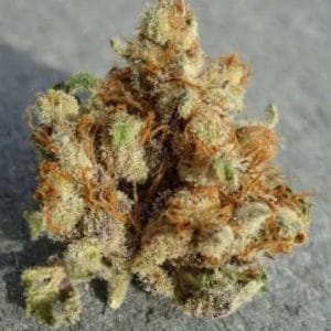 12/12 Photoperiod – Fruity – Indoor – Fire Alien Urkle strain – image 1 – from OG Raskal Seeds via Seed City