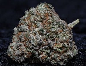 Super Strength – Insomnia – 12/12 Photoperiod – Fire OG Kush strain – image 1 – from Big Head Seeds via Seed City