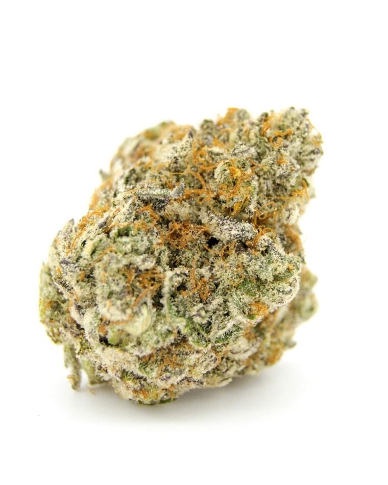 Forbidden Runtz cannabis seeds – 12/12 Photoperiod – Fruity – Mostly Indica – image 1 from Seed City