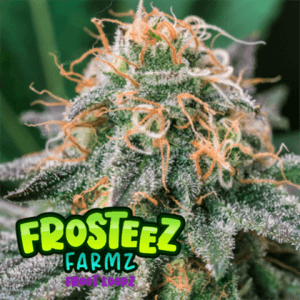 Froot Loopz