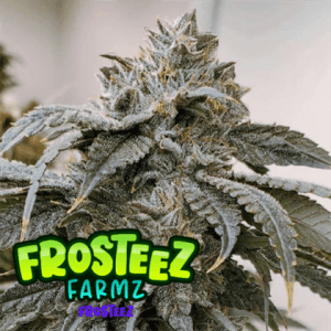 Frosteez