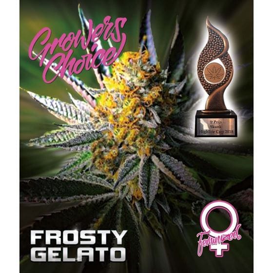 Frosty Gelato Auto from Growers Choice