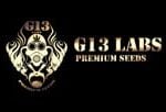 G13 Labs Seeds logo