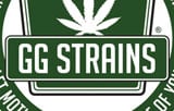 GG Strains