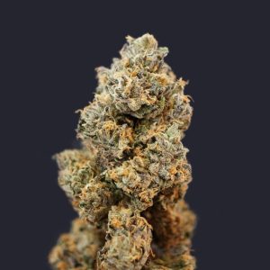 Gelato 33 x French Cookies a.k.a. French Macaron cannabis – image 1 – Seed City