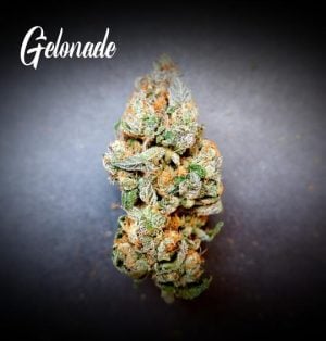 Gelonade