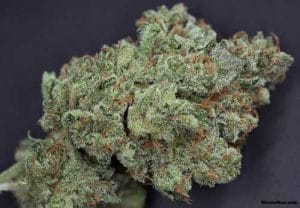 Ghost Train Haze #1