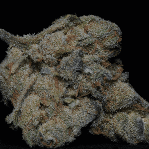 Image 1 of Girl Scout Cookies cannabis by Big Head Seeds – Relaxing – 12/12 Photoperiod – Mostly Sativa – Seed City