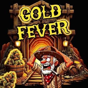 Gold Fever