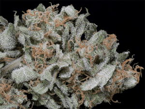 Gorilla Cookies